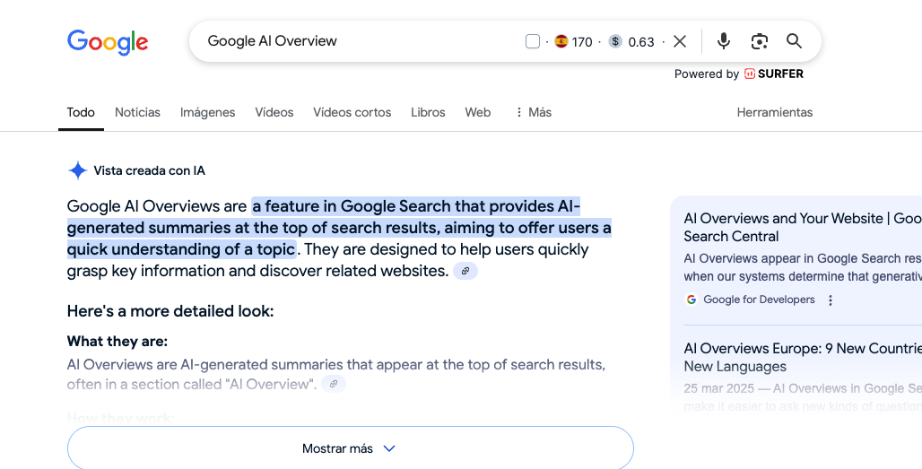 Google AI Overview: qué es y cómo adaptar tu estrategia de contenidos SEO